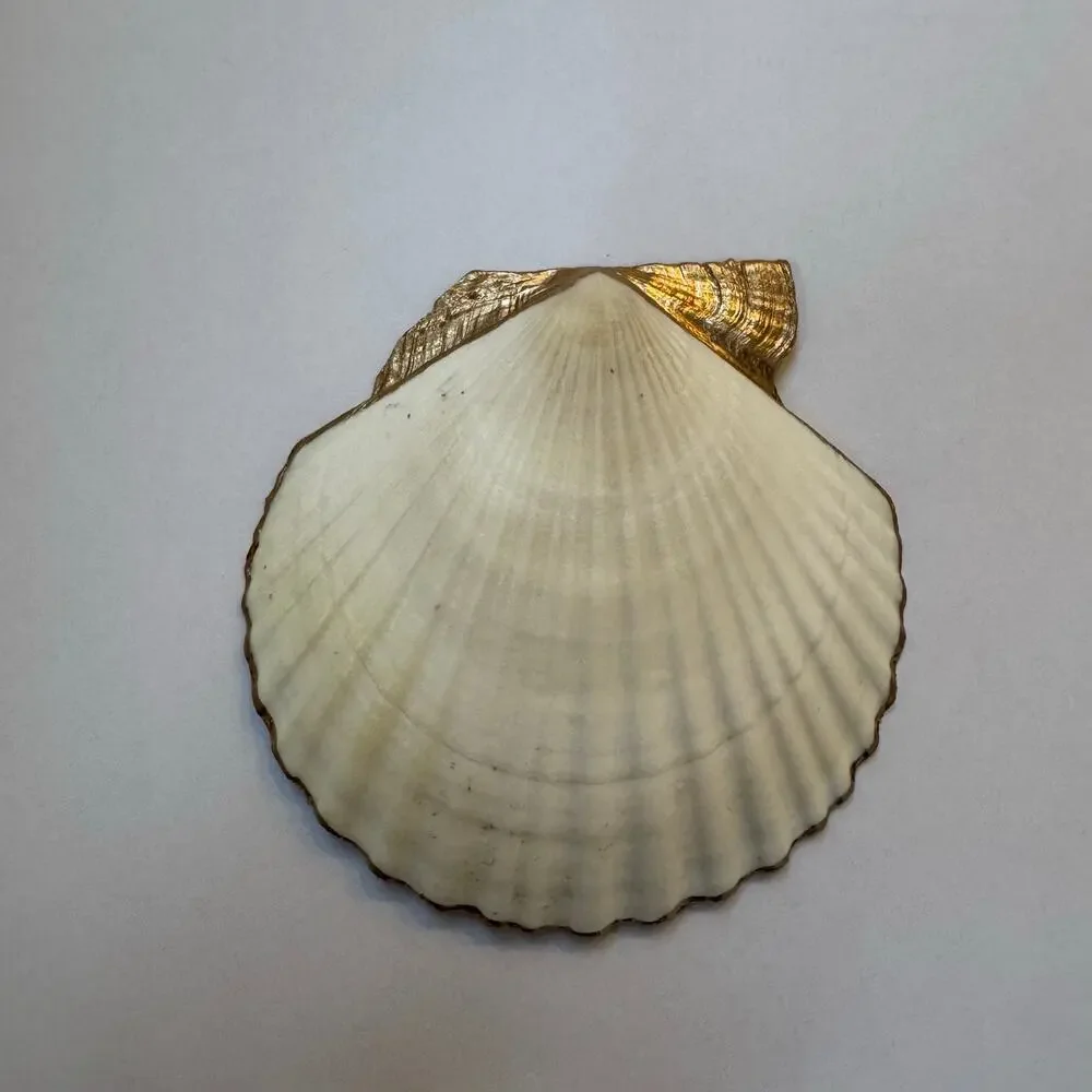 Blue and Orange Coral Seashell Trinket Dish Coastal Decor